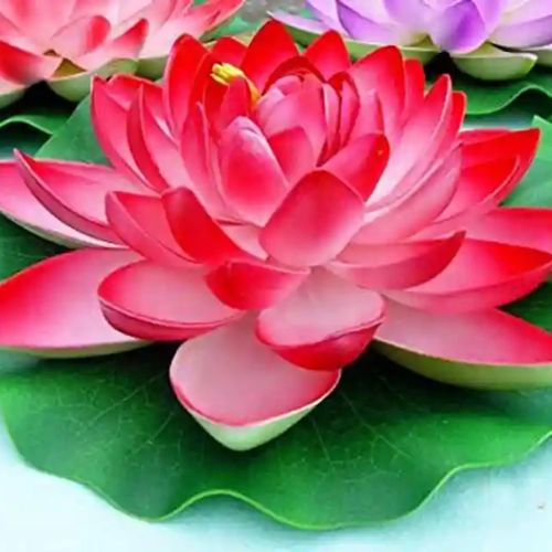   lotus flower, for Decorative, Color : Pink, Red