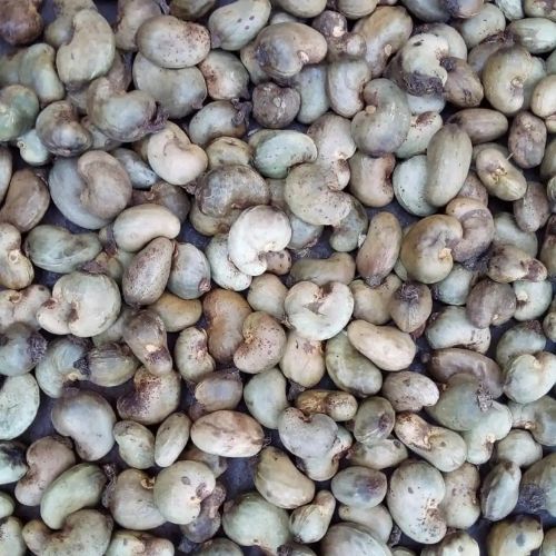   Raw Cashew