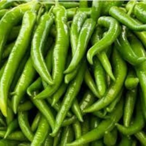    Natural Fresh Green Chilli, for Human Consumption, Packaging