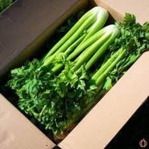   Natural Fresh Celery