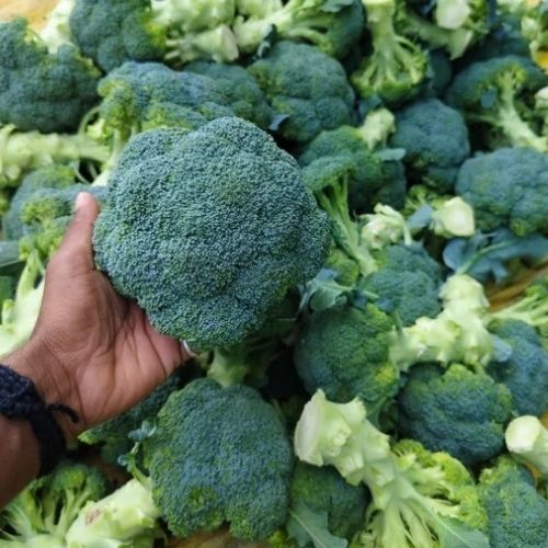   A Grade Broccoli