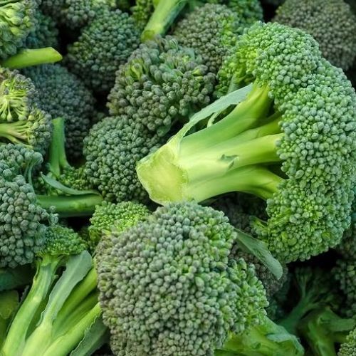   A Grade Fresh Green Broccoli