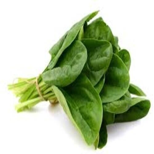 Organic Fresh Spinach Leaves, for Pesticide Free, High