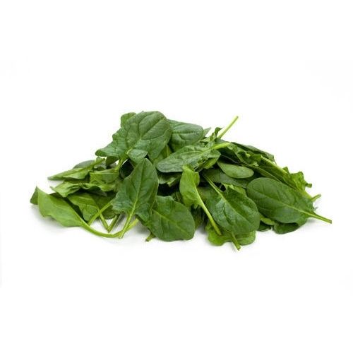 Organic Fresh Spinach, for Human Consumption