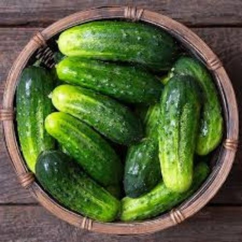    Round Organic Cucumber  For Human Consumption, Variety