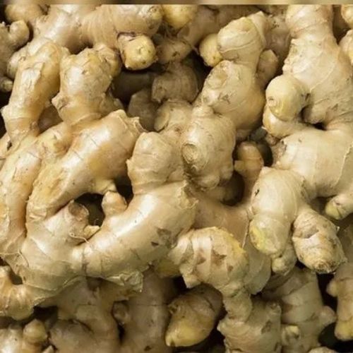 Origin Karnataka Fresh Ginger
