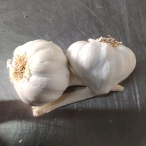 A Grade Medium Garlic