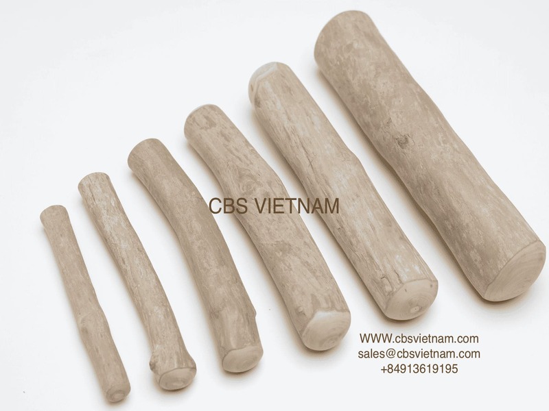 CBS Vietnam-Coffee Wood Chews