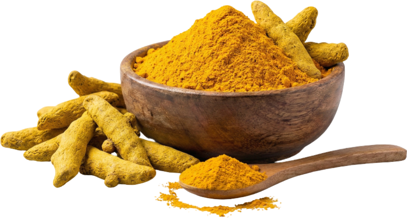 Turmeric Finger / Powder