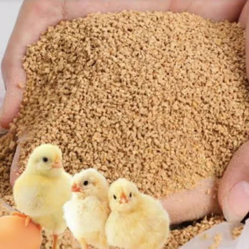 Chicks crumbs