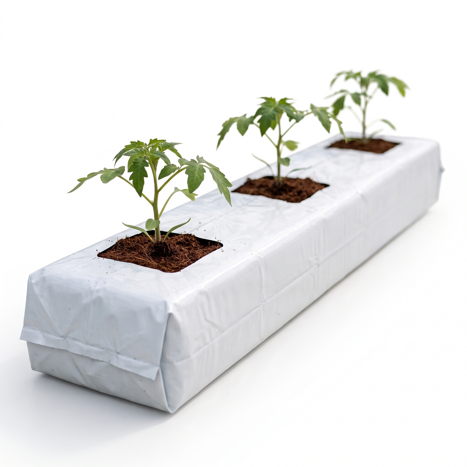 Cocopeat Flat Bed Grow Bag