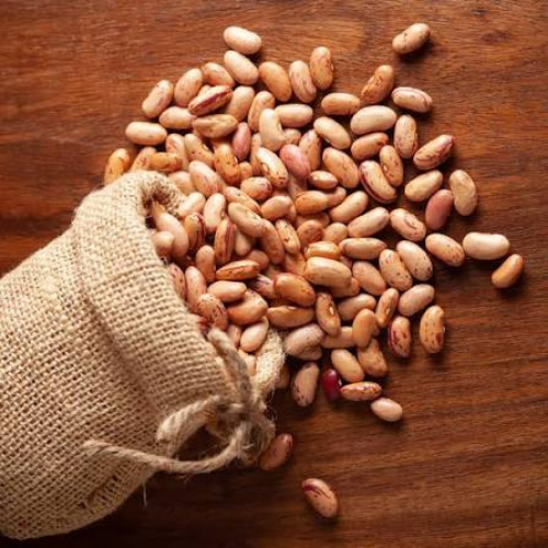 Rajma